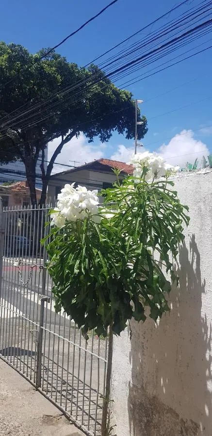 Acero'Lar Vandrarhem Recife Brasilien